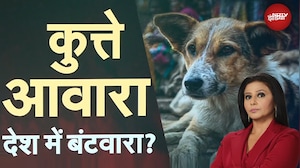 Supreme Court Order on Stray Dogs: कुत्तों पर घमासान...बंट गया इंसान!a