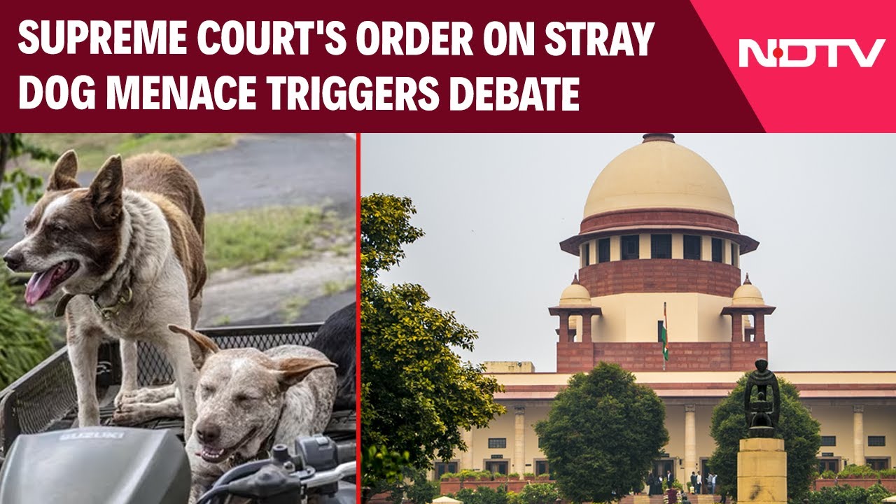 Stray Dog Attack | SC Order: Tough Or Timely? Shiv Asks 5 Big Questions