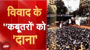Mumbai Pigeon Latest News: कबूतर विवाद से आगे की जानकारी, धमकी किसने दी | BMC