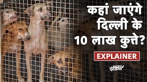 SC On Stray Dogs: अब Delhi में आवारा कुत्तों का क्या होगा..कहां मिलेगी पनाह?|Street Dogs |Dog Attack