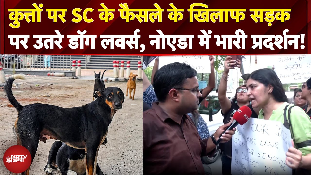 SC On Stray Dogs: कुत्तों पर SC के फैसले के खिलाफ सड़क पर उतरे डॉग लवर्स, Noida में भारी प्रदर्शन