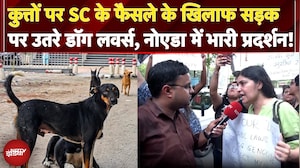 SC On Stray Dogs: कुत्तों पर SC के फैसले के खिलाफ सड़क पर उतरे डॉग लवर्स, Noida में भारी प्रदर्शन