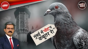 Mumbai Pigeon News: कबूतर को दाना डालने के मामले में High Court ने BMC से कही ये बड़ी बात