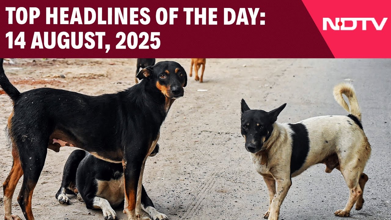 Bigger Top Court Bench To Hear Stray Dog Case | Top Headlines Of The Day 14 August, 2025