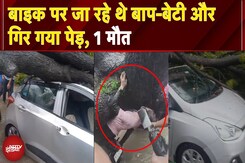 Delhi Rain: बाइक पर जा रहे थे बाप-बेटी और गिर गया पेड़, 1 मौत | BREAKING Delhi Rain: बाइक पर जा रहे थे बाप-बेटी और गिर गया पेड़, 1 मौत | BREAKING