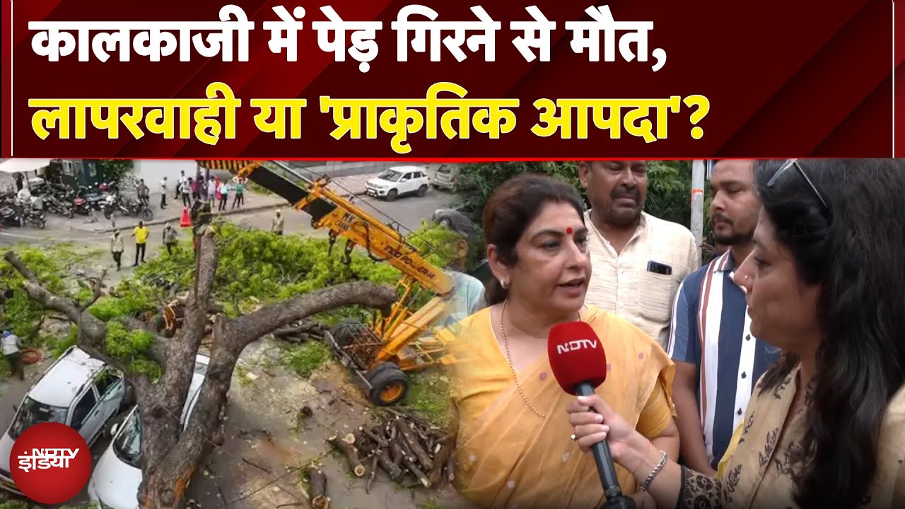 Delhi Rains: Kalkaji में पेड़ गिरने से मौत, लापरवाही या 'प्राकृतिक आपदा'? क्या बोलीं Yogita Singh
