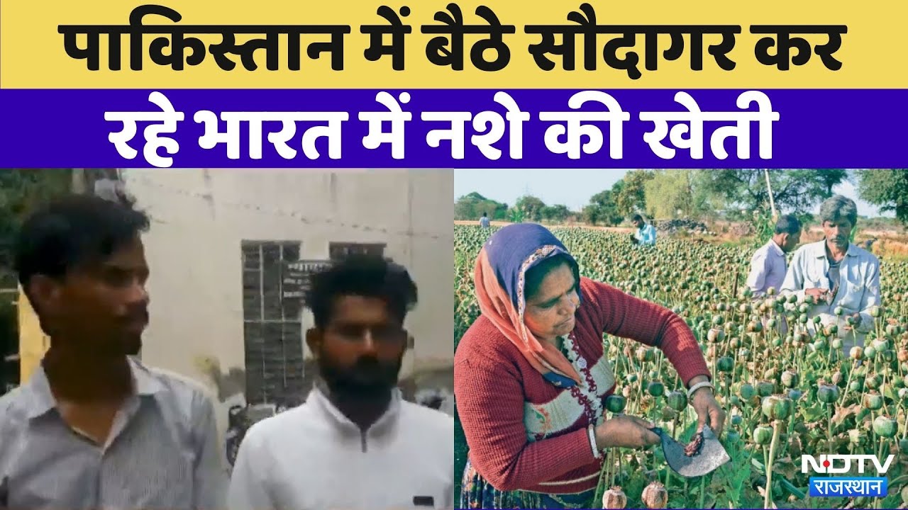Drug Smuggler: Pakistan में बैठे सौदागर कर रहे India में नशे की खेती | Crime News | Latest News