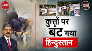 Stray Dogs: आवारा कुत्तों पर Supreme Court में बड़े-बड़े वकीलों ने दी हैरान करने वाली दलील