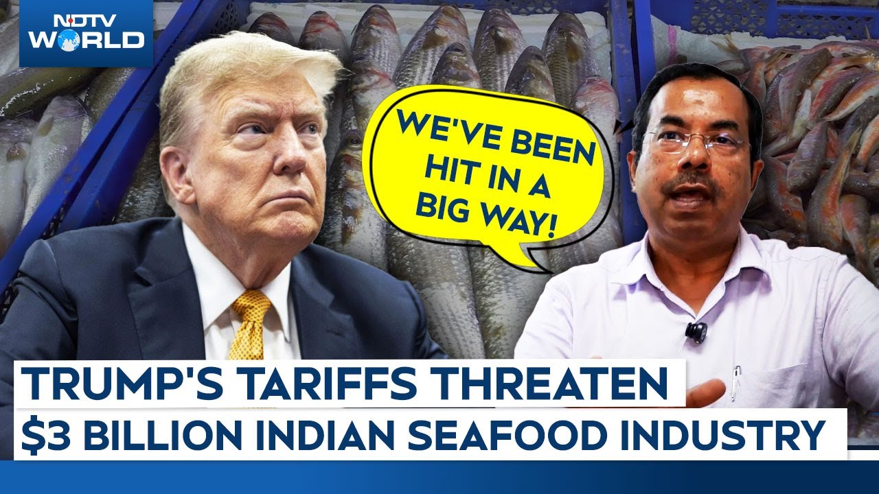 'We've Been Hit In A Big Way': Trump Tariffs Hit $3 Billion Indian Seafood Industry 'We've Been Hit In A Big Way': Trump Tariffs Hit $3 Billion Indian Seafood Industry