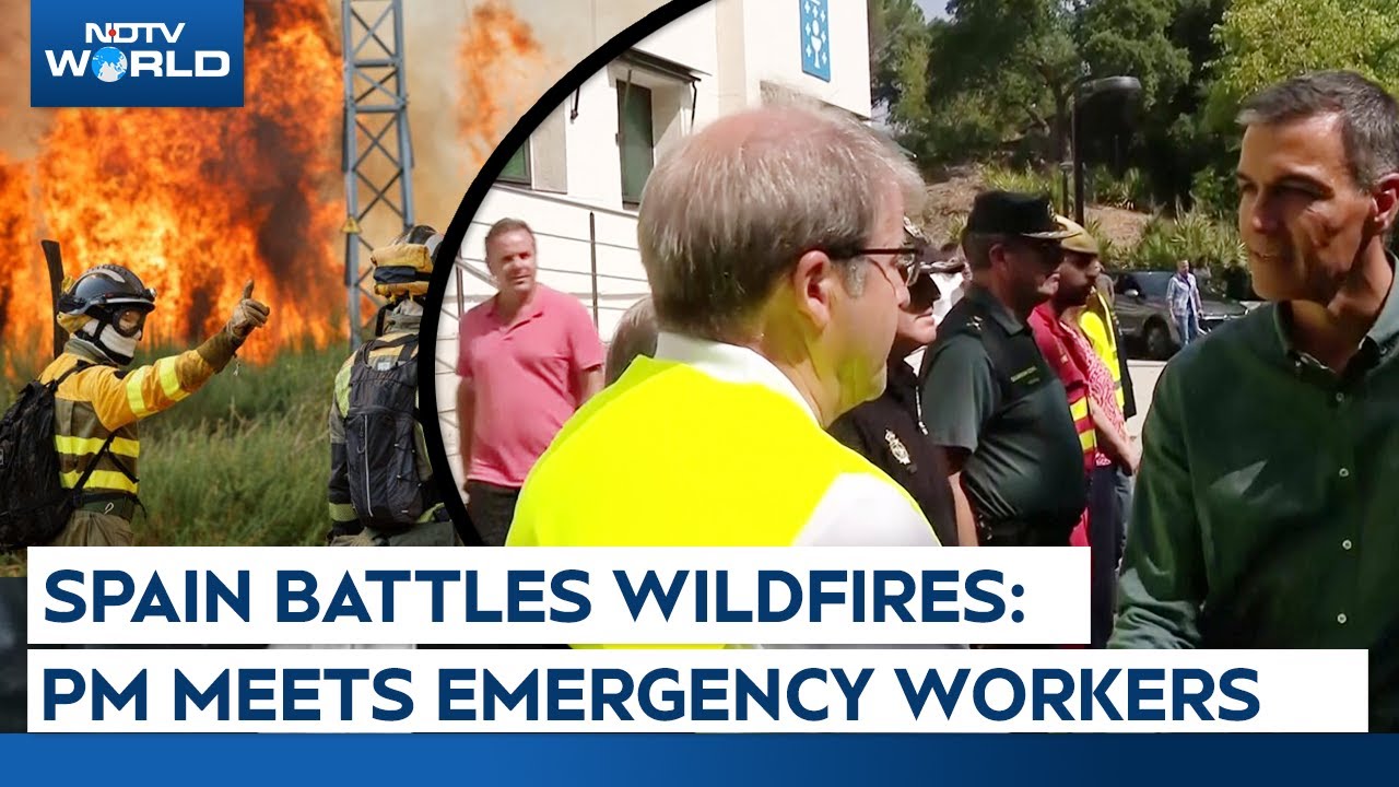 Video: Spain Wildfires | Spanish PM Meets Emergency Workers As Wildfires Destroy Homes