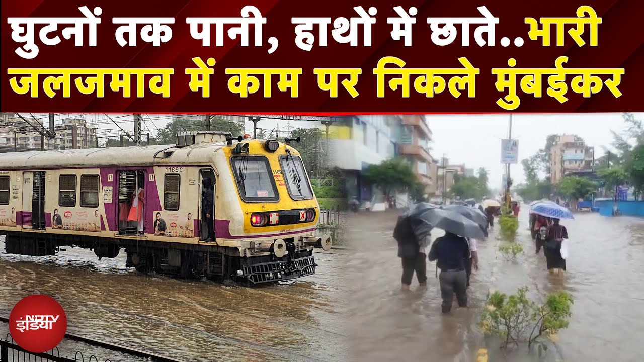 Video: Mumbai Heavy Rain: दरिया बनी सड़कें, जहां देखो वहां पानी...भारी बारिश का रेड अलर्ट, देखें ताजा हालात
