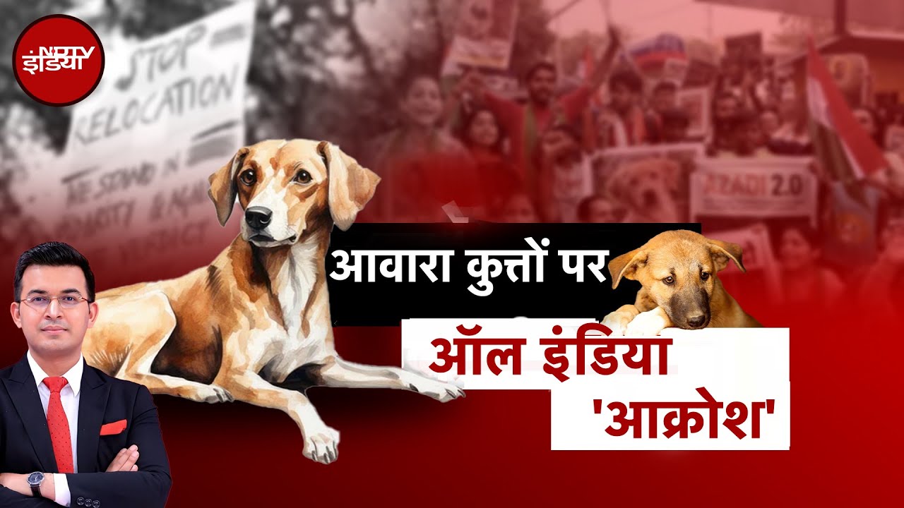 Delhi CM Rekha Gupta Attack News: आवारा कुत्तों पर हंगामा है बरपा! | Kachehri With Shubhankar Mishra