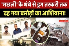 Bhopal Drug Case: 'मछली' के धंधे से ड्रग तस्करी तकढह गया करोड़ों का आशियाना! Bhopal Drug Case: 'मछली' के धंधे से ड्रग तस्करी तकढह गया करोड़ों का आशियाना!