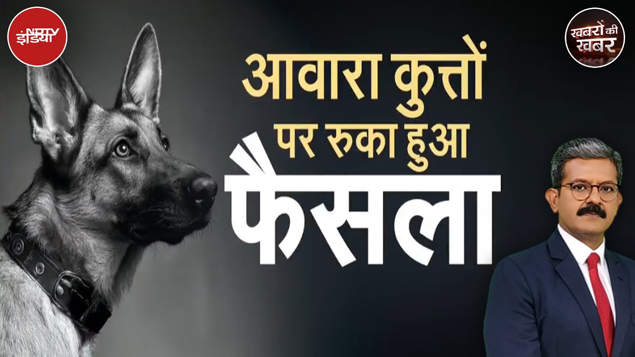 Stray Dog Attack Video: आवारा कुत्तों पर रुका हुआ फैसला | Supreme Court | Khabron Ki Khabar