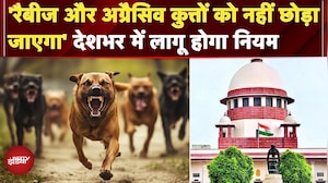 SC Decision On Stray Dogs: रैबीज और अग्रैसिव कुत्तों को नहीं छोड़ा जाएगा, देशभर में लागू होंगे नियम