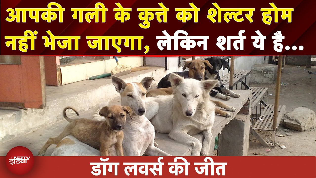 गलियों से नहीं हटेंगे Stray Dogs, लेकिन शर्त है..समझें Supreme Court का फैसला |Delhi | Maneka Gandhi