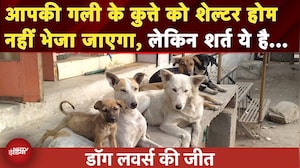 गलियों से नहीं हटेंगे Stray Dogs, लेकिन शर्त है..समझें Supreme Court का फैसला |Delhi | Maneka Gandhi