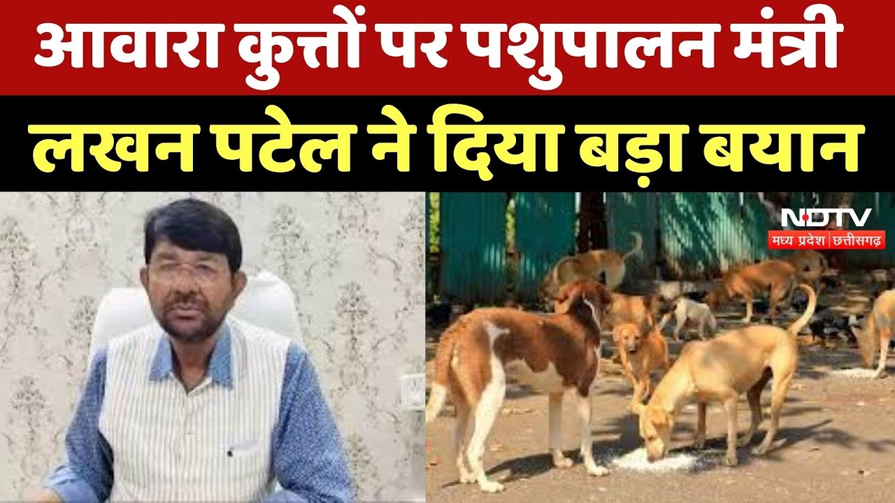 Damoh News : आवारा कुत्तों पर Animal Husbandry Minister Lakhan Patel ने दिया बड़ा बयान, कहा... Damoh News : आवारा कुत्तों पर Animal Husbandry Minister Lakhan Patel ने दिया बड़ा बयान, कहा...