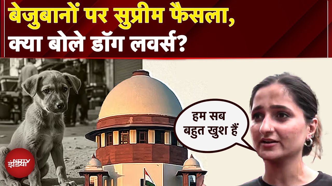 SC On Stray Dogs: Supreme Court के फैसले पर जंतर मंतर में डॉग लवर्स का जश्न, आवारा नहीं, ये हमारा है