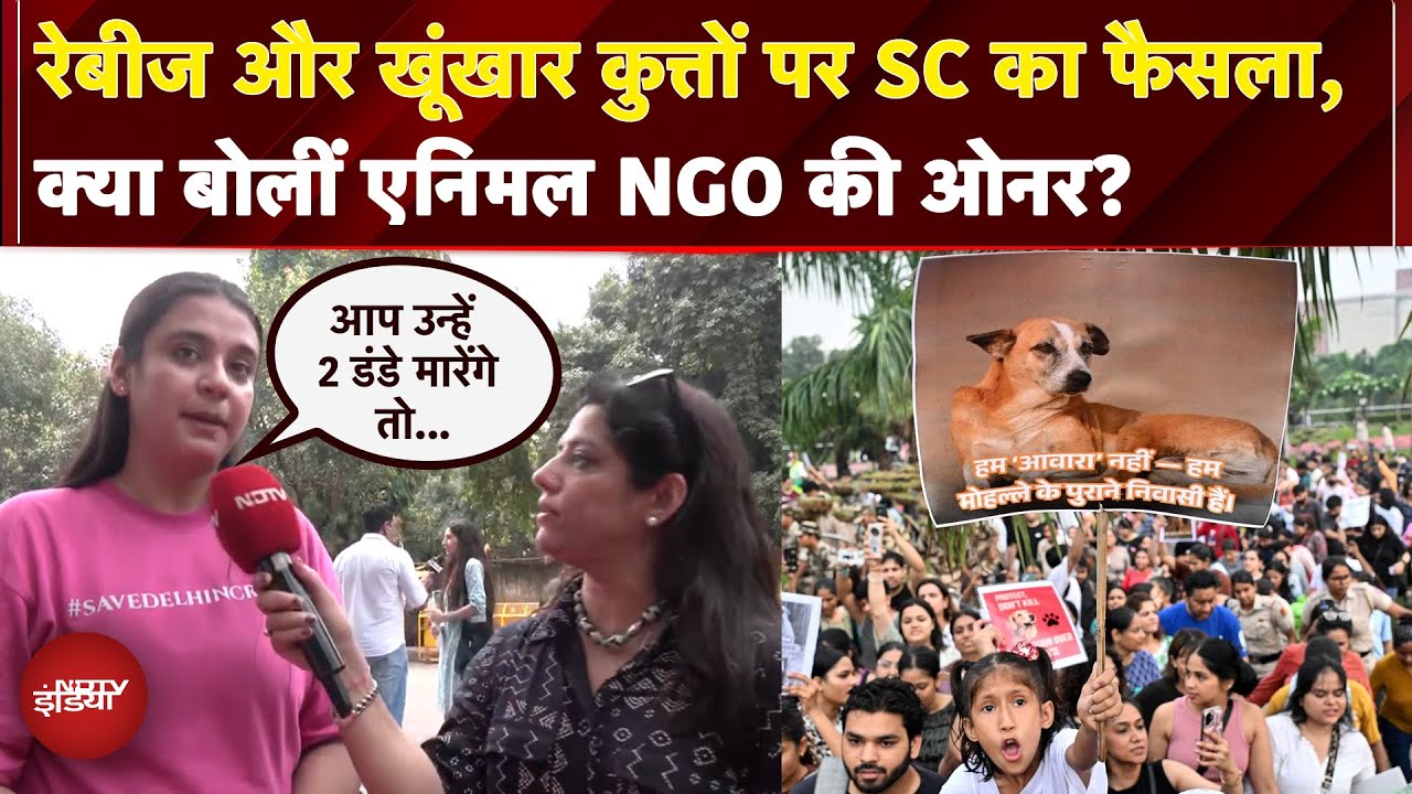 Video: SC Decision On Dogs: Rabies और खूंखार कुत्तों पर SC का बड़ा फैसला, NGO की मालकिन ने क्या कहा?