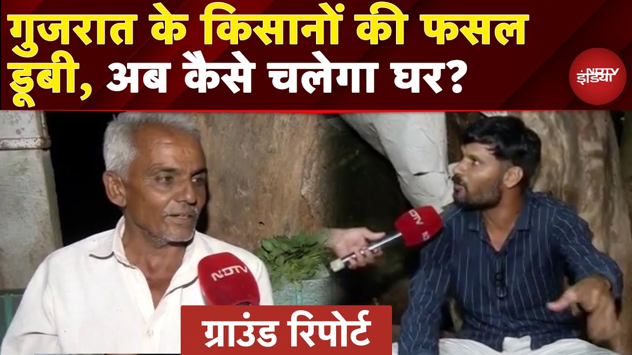 Video : Gujarat Flood: गांव की गूंज - बारिश ने बिगाड़ी मूंगफली की फसल, Ground Report से समझिए हालात