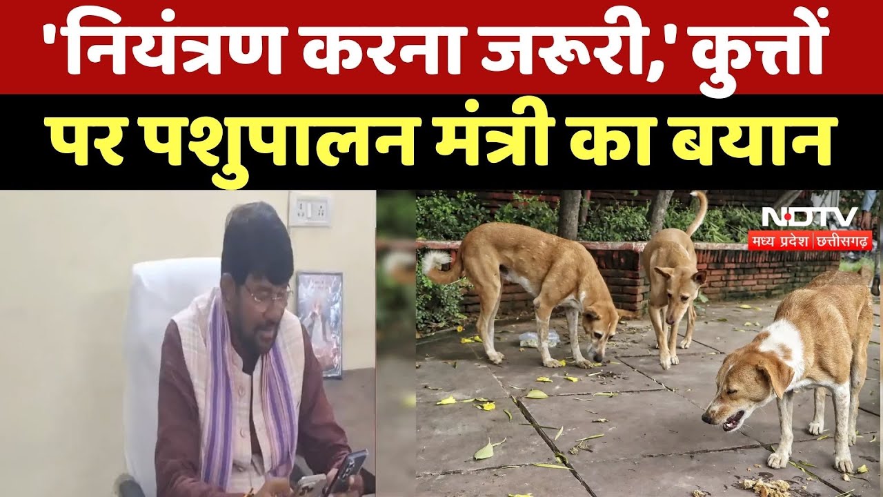 Damoh News: 'नियंत्रण करना जरूरी,' कुत्तों पर पशुपालन मंत्री Lakhan Patel का बयान | SC | Top News