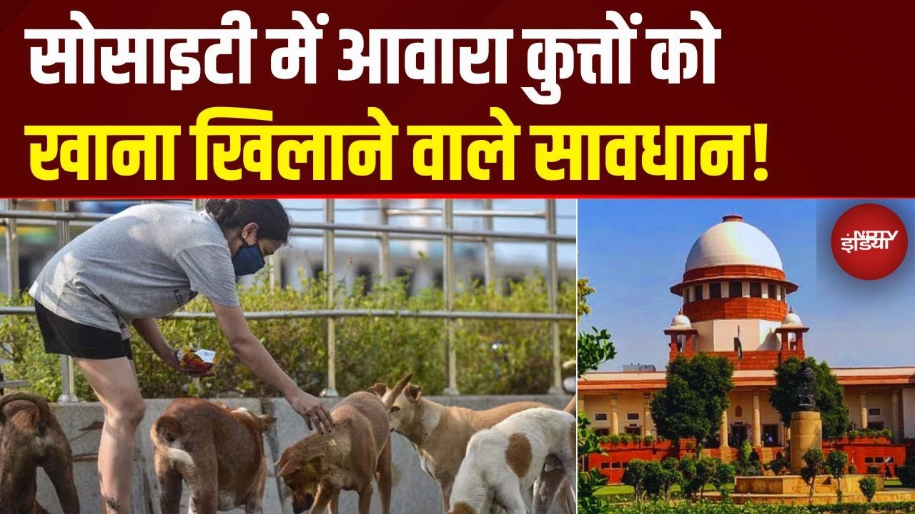 Society में आवारा कुत्तों को खाना खिलाने वालों पर Supreme Court का बड़ा आदेश | SC on Stray Dogs