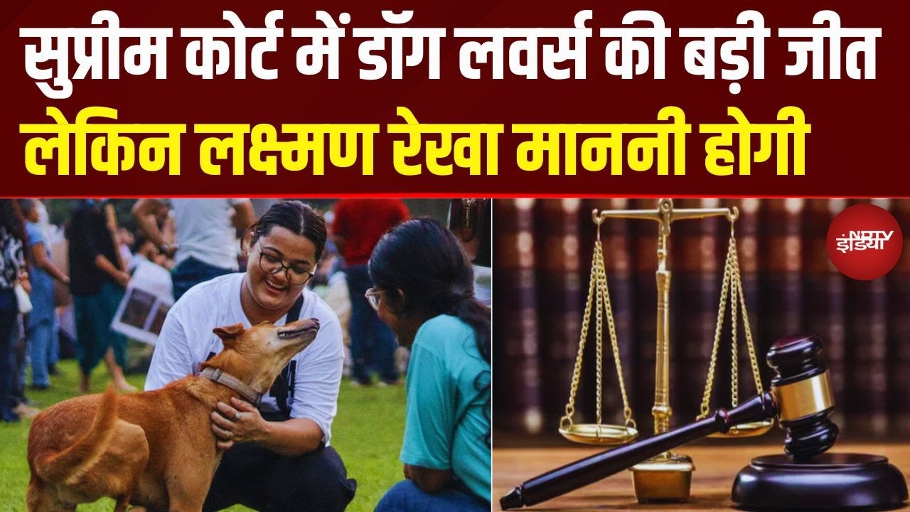 Supreme Court में Dog Lovers की बड़ी जीत पर शर्तें लागू | देख लें ये नियम