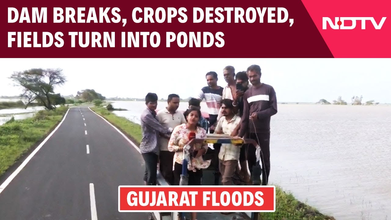 Video: Dam Breaks, Crops Destroyed, Fields Turn Into Ponds As Flood Hiyts Gujarat's Junagadh