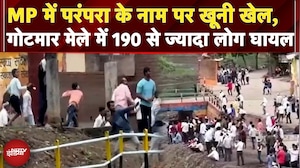 Gotmar Mela: MP में परंपरा के नाम पर खूनी खेल, गोटमार मेले में 190 से ज्यादा लोग घायल