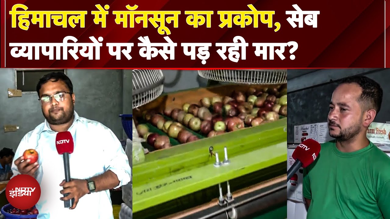 Himachal में Monsoon का सेब व्यापार पर कहर, Landslide से रास्ते बंद, सेब सड़ रहे, व्यापारी निराश Himachal में Monsoon का सेब व्यापार पर कहर, Landslide से रास्ते बंद, सेब सड़ रहे, व्यापारी निराश