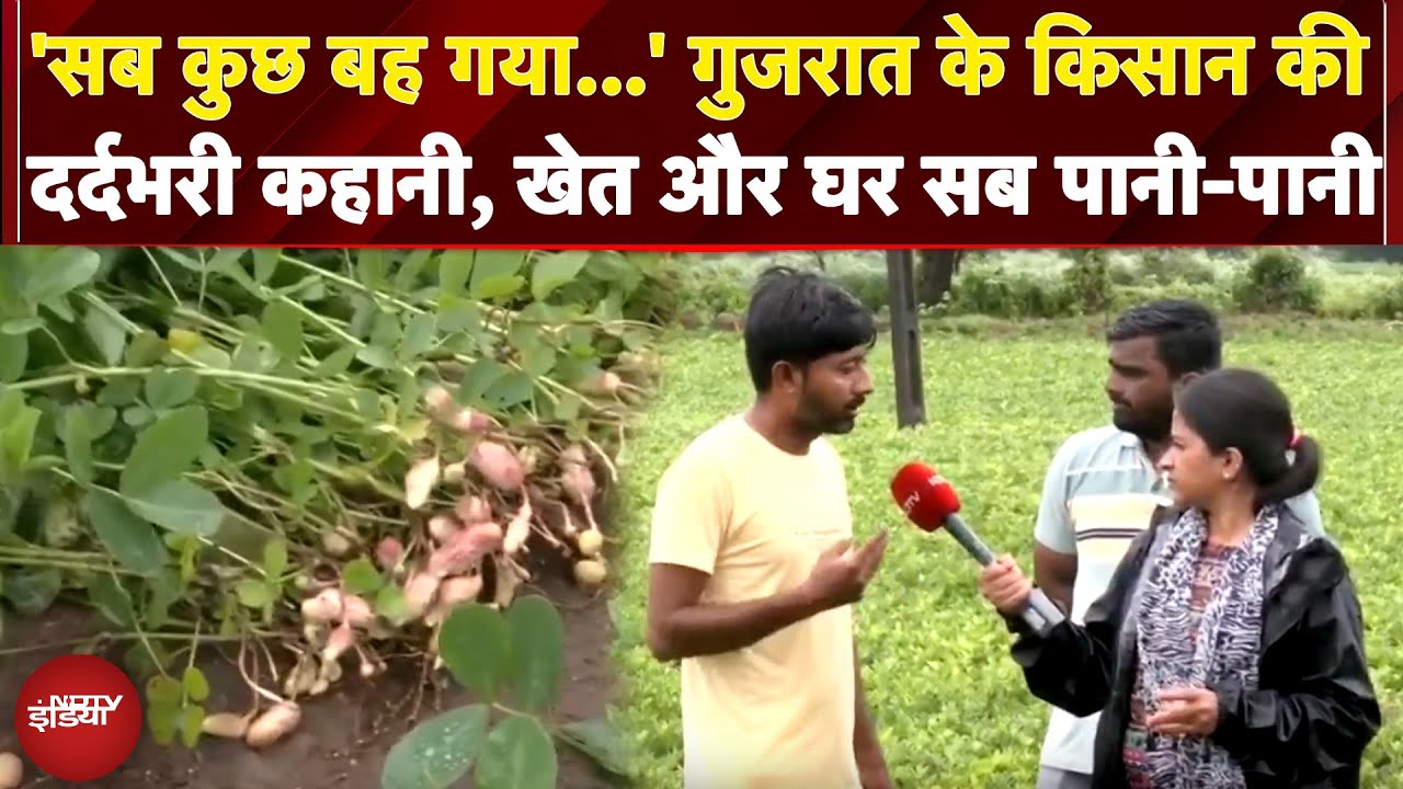 Gujarat Flood: गुजरात के किसान की दर्दभरी कहानी, खेत और घर सब पानी-पानी | Weather Update