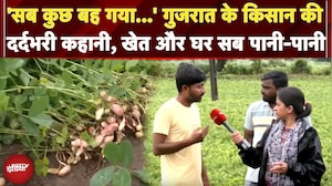 Gujarat Flood: गुजरात के किसान की दर्दभरी कहानी, खेत और घर सब पानी-पानी | Weather Update