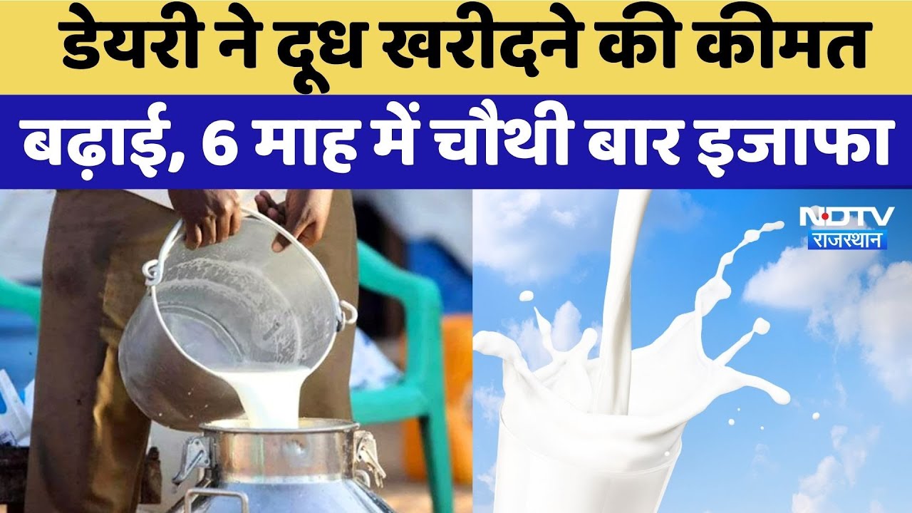 Milk Price Hike In Rajasthan: Dairy ने दूध खरीदने की कीमत बढ़ाई, 6 माह में चौथी बार इजाफा