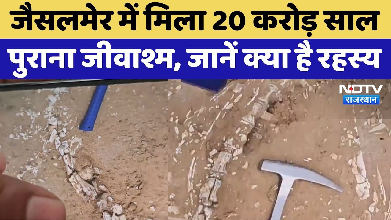 राजस्थान में मिला डायनासोर का कंकाल