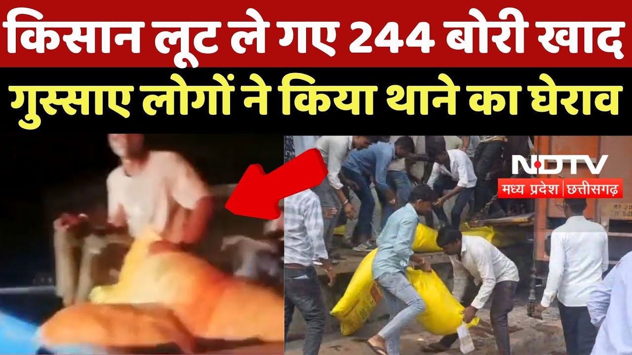 Fertilizer Crisis In Gwalior: किसान लूट ले गए 244 बोरी खाद, गुस्साए लोगों ने किया थाने का घेराव