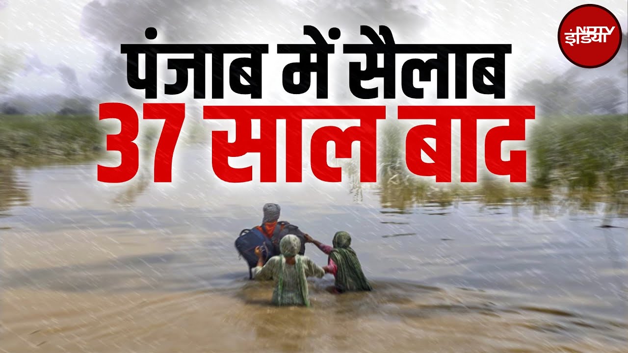 Punjab Flood: 37 साल बाद... पंजाब की सड़कों पर सैलाब! | NDTV India | Monsoon | Heavy Rain