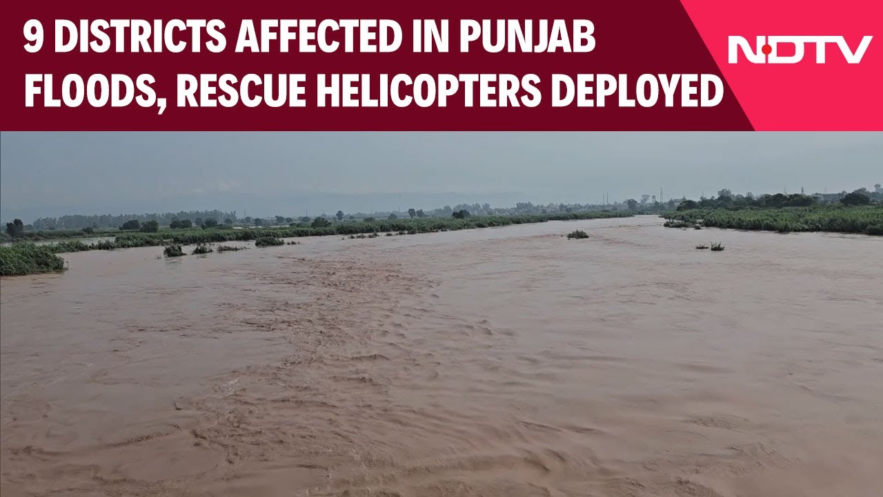 9 Districts Affected, IAF Helicopters Deployed For Rescue In Punjab