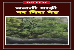 बाइक पर जा रहे थे बाप-बेटी और गिर गया पेड़, 1 मौत | Delhi Rain | Kalkaji Accident बाइक पर जा रहे थे बाप-बेटी और गिर गया पेड़, 1 मौत | Delhi Rain | Kalkaji Accident