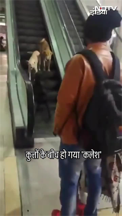 Video: Delhi: Kashmiri Gate पर कुत्तों के बीच जमकर हुआ कलेश, Video Viral