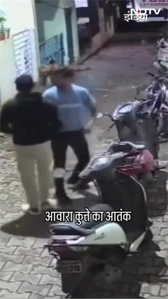 आवारा कुत्ते ने बुज़ुर्ग पर किया हमला, देखें CCTV | Stray Dog | Dog Attack