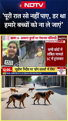 'हम पूरी रात ठीक से सो नहीं पाए, डर था कहीं हमारे बच्चों को लेकर न चले जाएं' - डॉग लवर | SC on Dogs