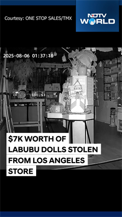 Video: $7K Worth Of Labubu Dolls Stolen From Los Angeles Store