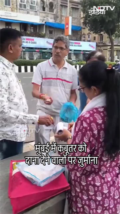 Mumbai में कबूतर को दाना खिलाना पड़ा महंगा, BMC ने लगाया भारी जुर्माना