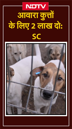 Video: Supreme Court आवारा कुत्तों के लिए NGO और Dog Lovers से पैसे क्यों मांग रहा है?