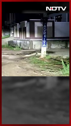 Floods And Now Crocodiles: Kota Residents' Rain Double Whammy