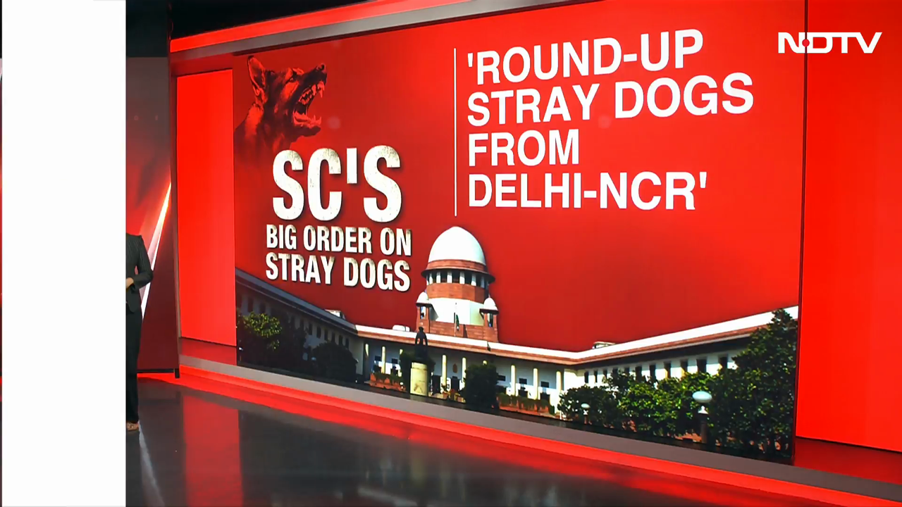 Supreme Court Orders Stray Dog Roundup In Delhi-NCR With 8-Week Deadline