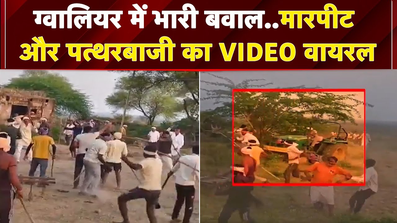 Gwalior में भयंकर संग्राम, जमकर चले लाठी-डंडे औऱ पत्थर, मारपीट का Video Viral | MP News