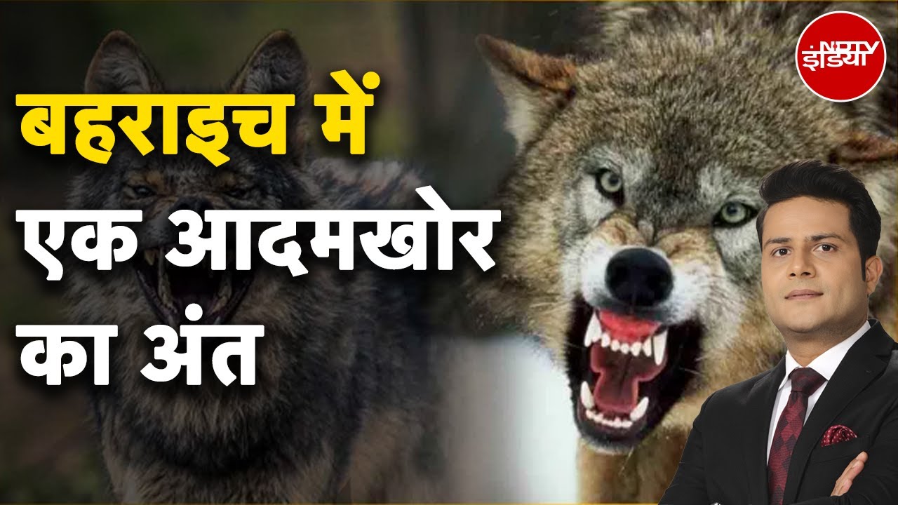 Bahraich Bhediya Attack: यूपी में 'अदृश्य' खौफ की हकीकत क्या? | NDTV Ground Report से समझें हालात