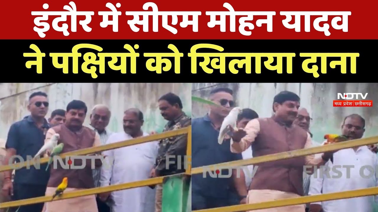 CM Mohan Yadav ने Indore के Zoological Museum में पक्षियों को खिलाया दाना